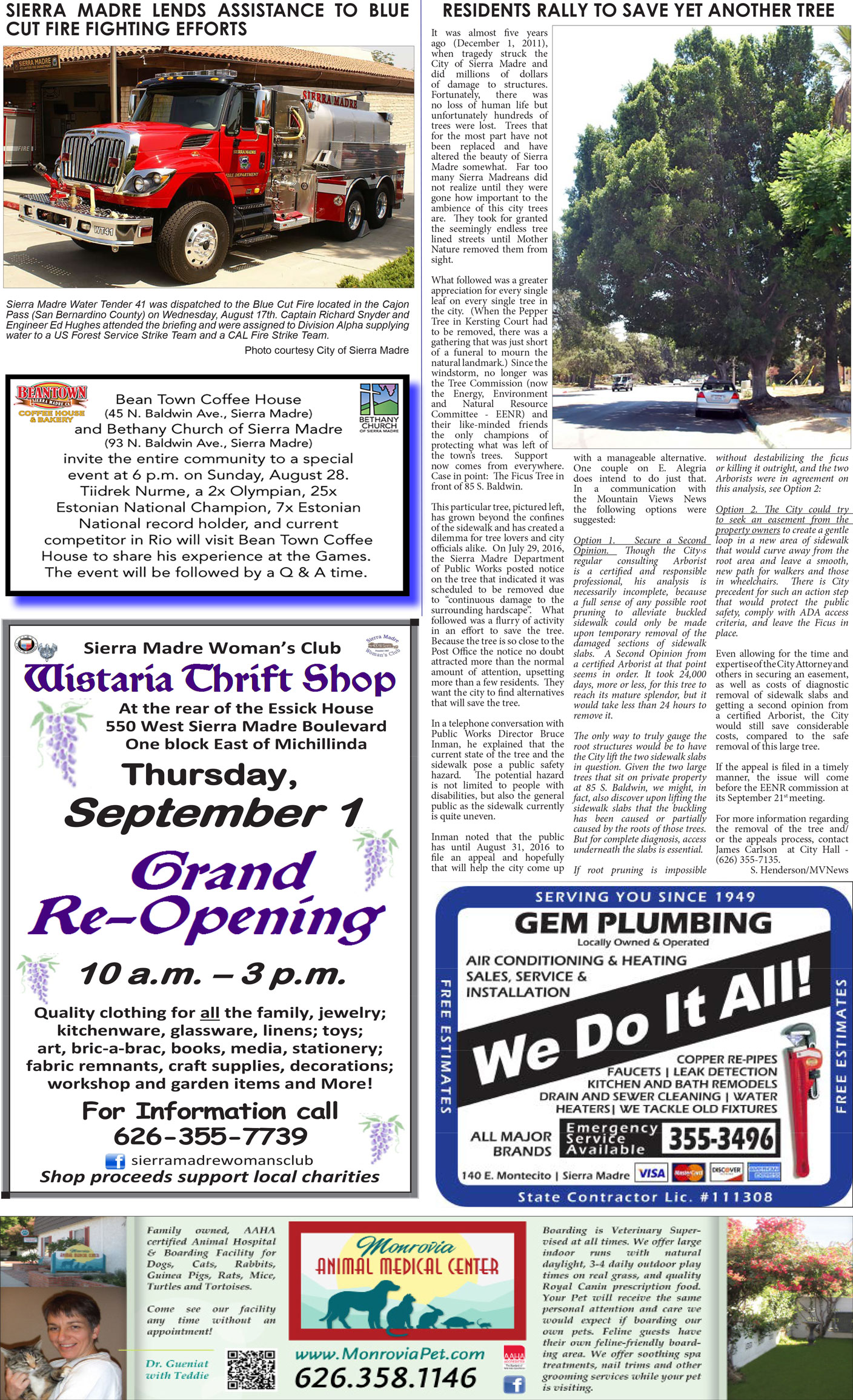 MVNews this week:  Page 1