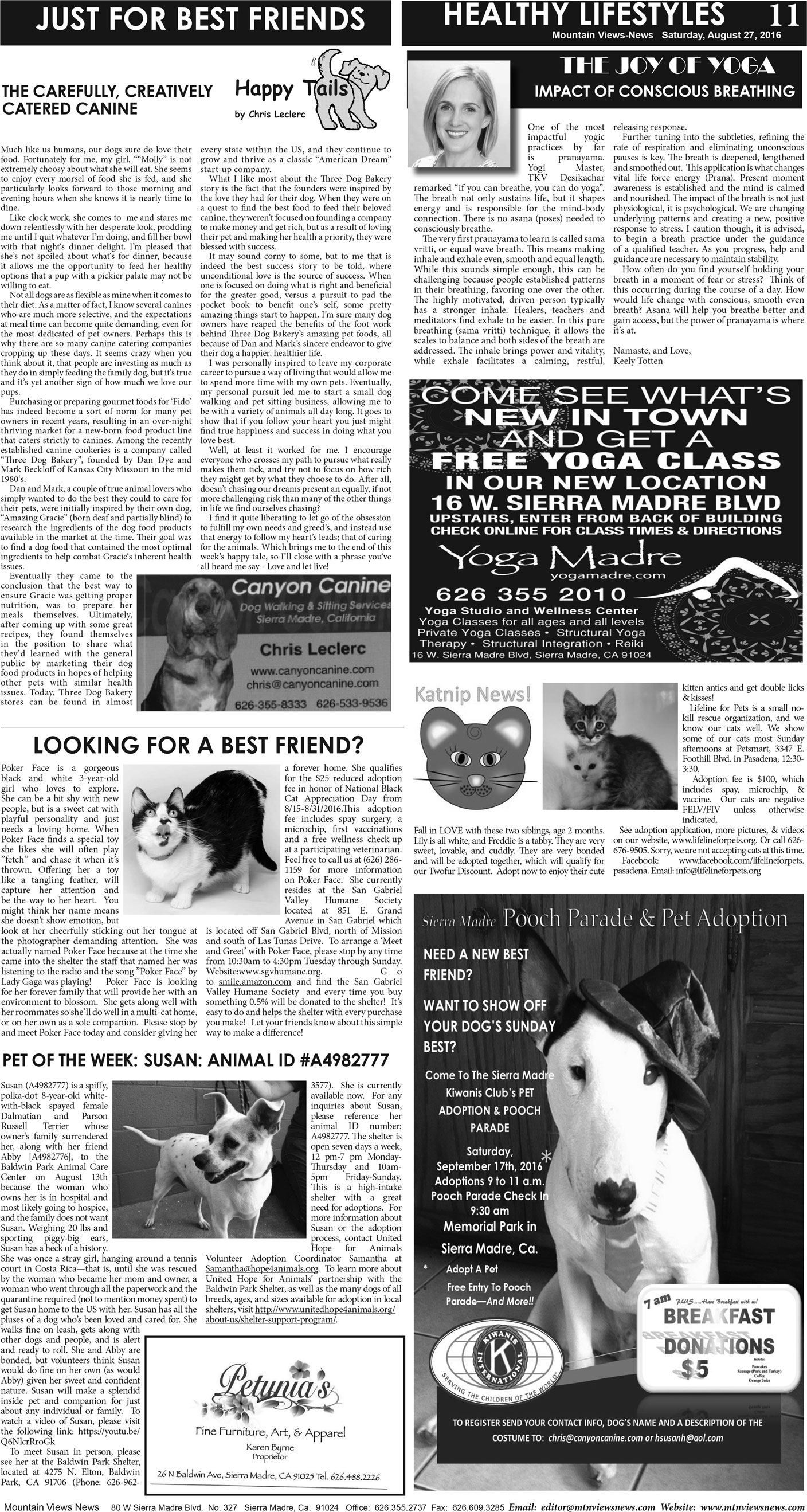 MVNews this week:  Page A:11