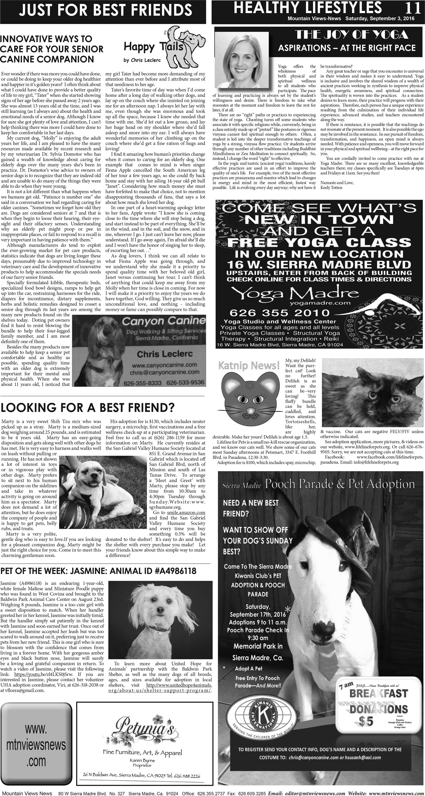 MVNews this week:  Page A:11