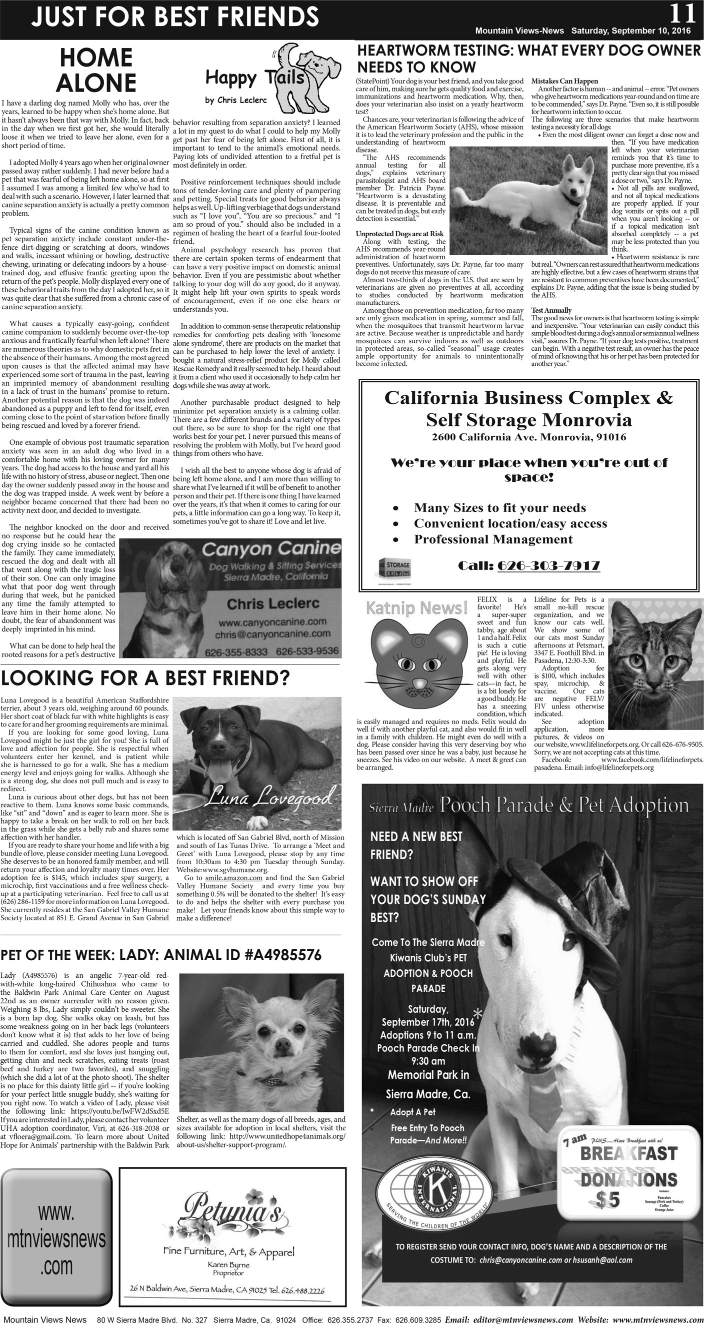 MVNews this week:  Page A:11