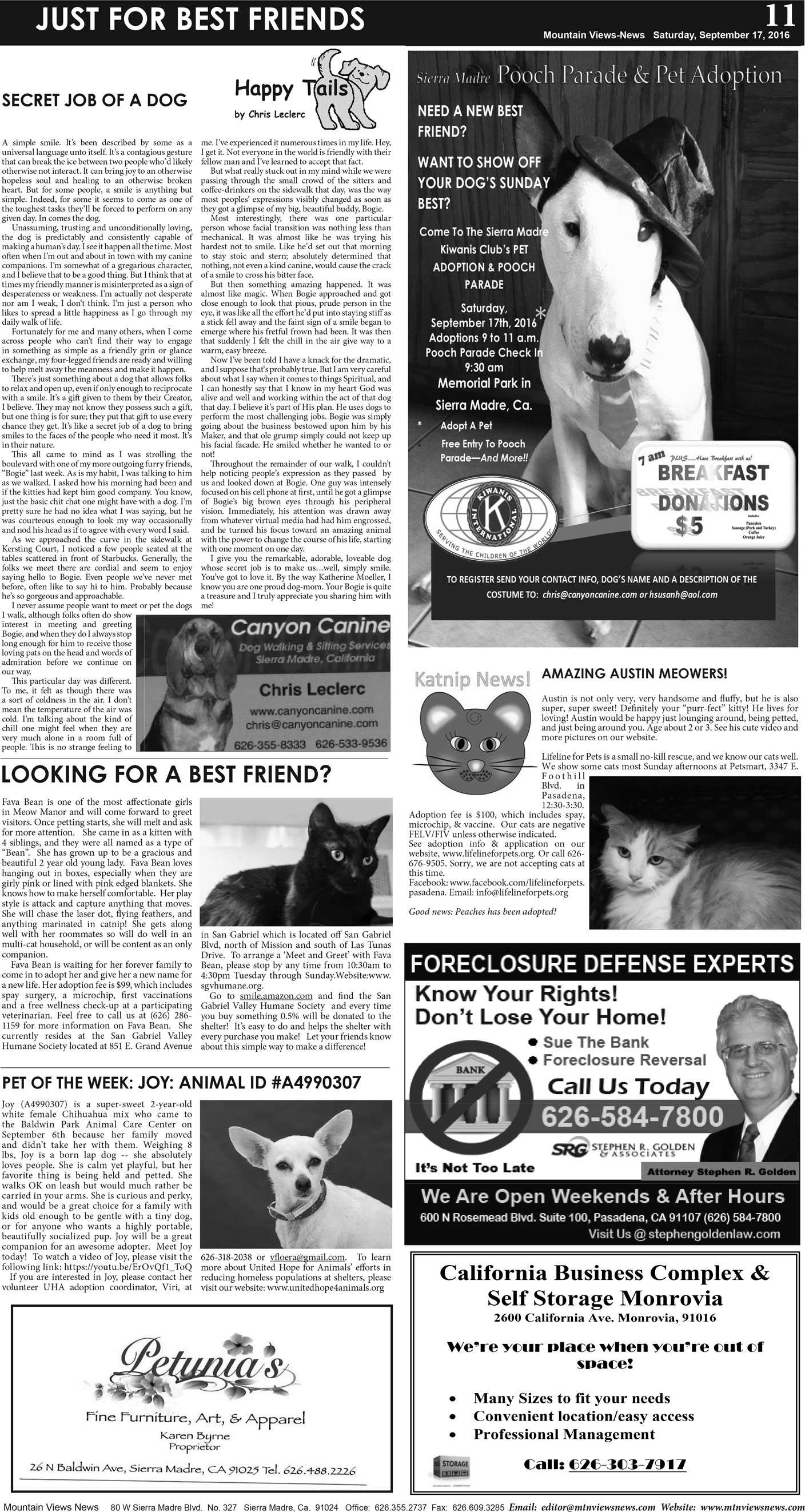 MVNews this week:  Page A:11