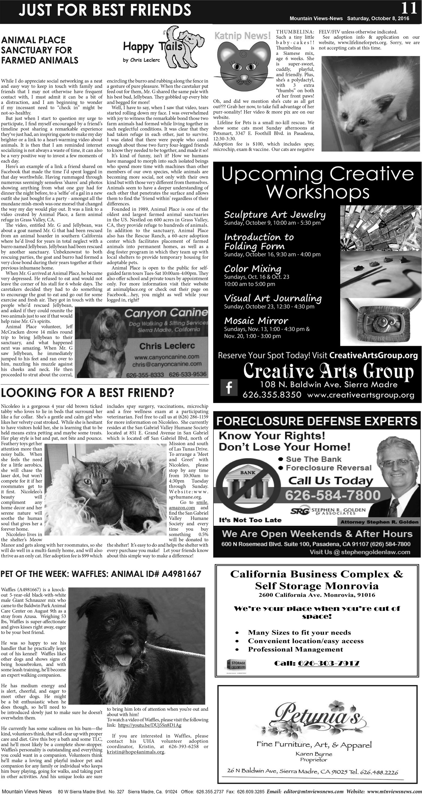 MVNews this week:  Page A:11