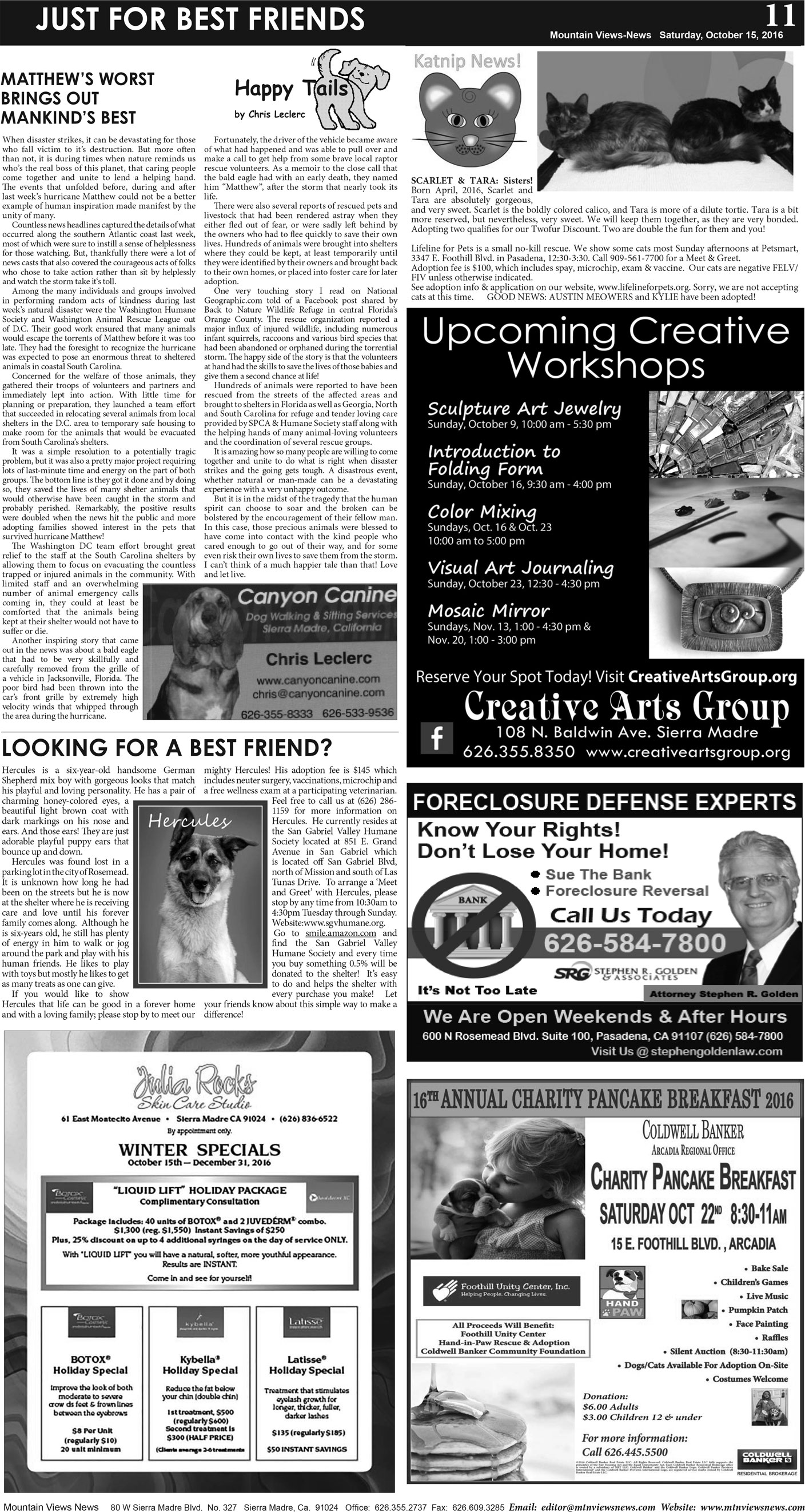 MVNews this week:  Page A:11