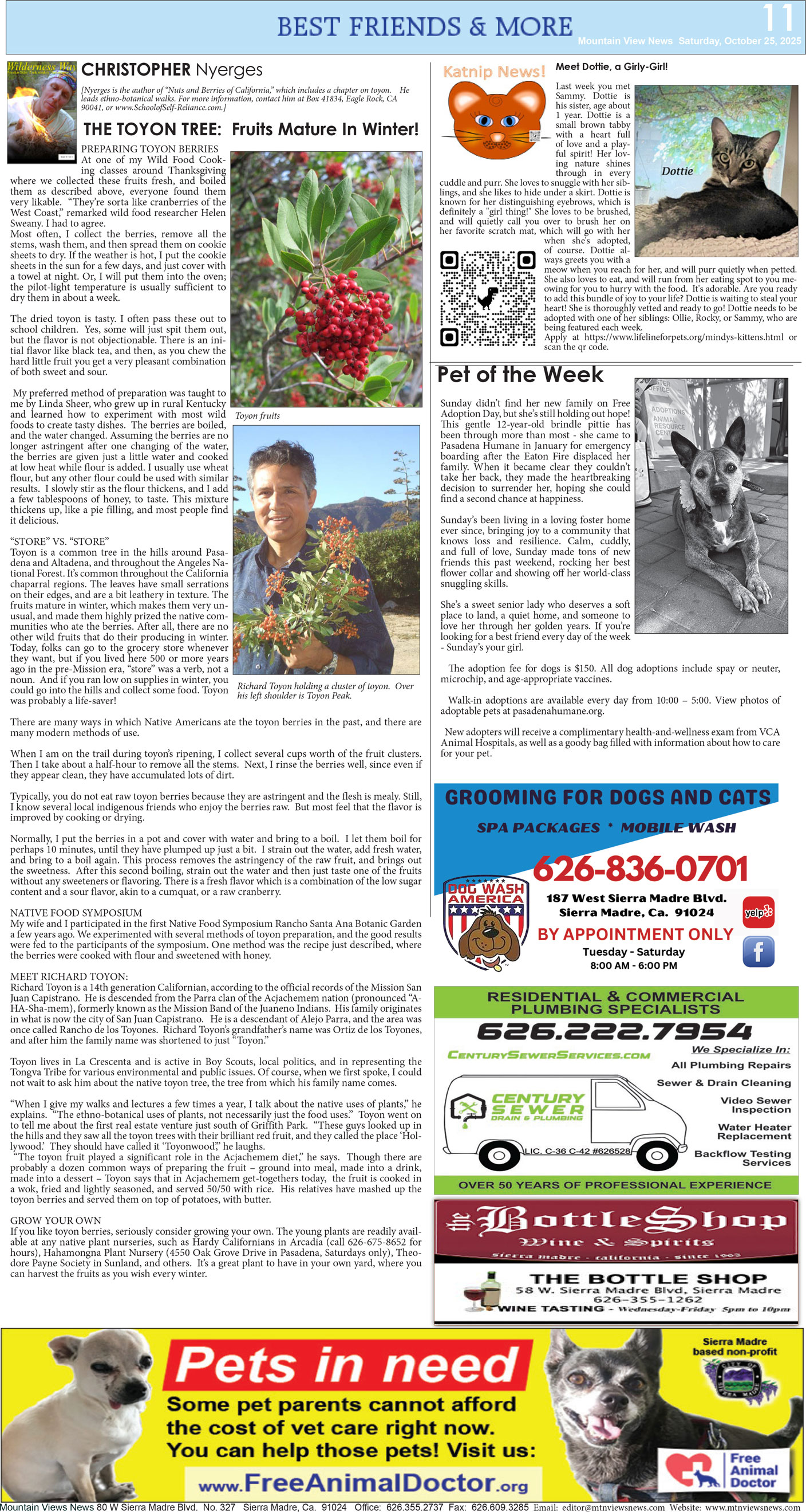 MVNews this week:  Page 11