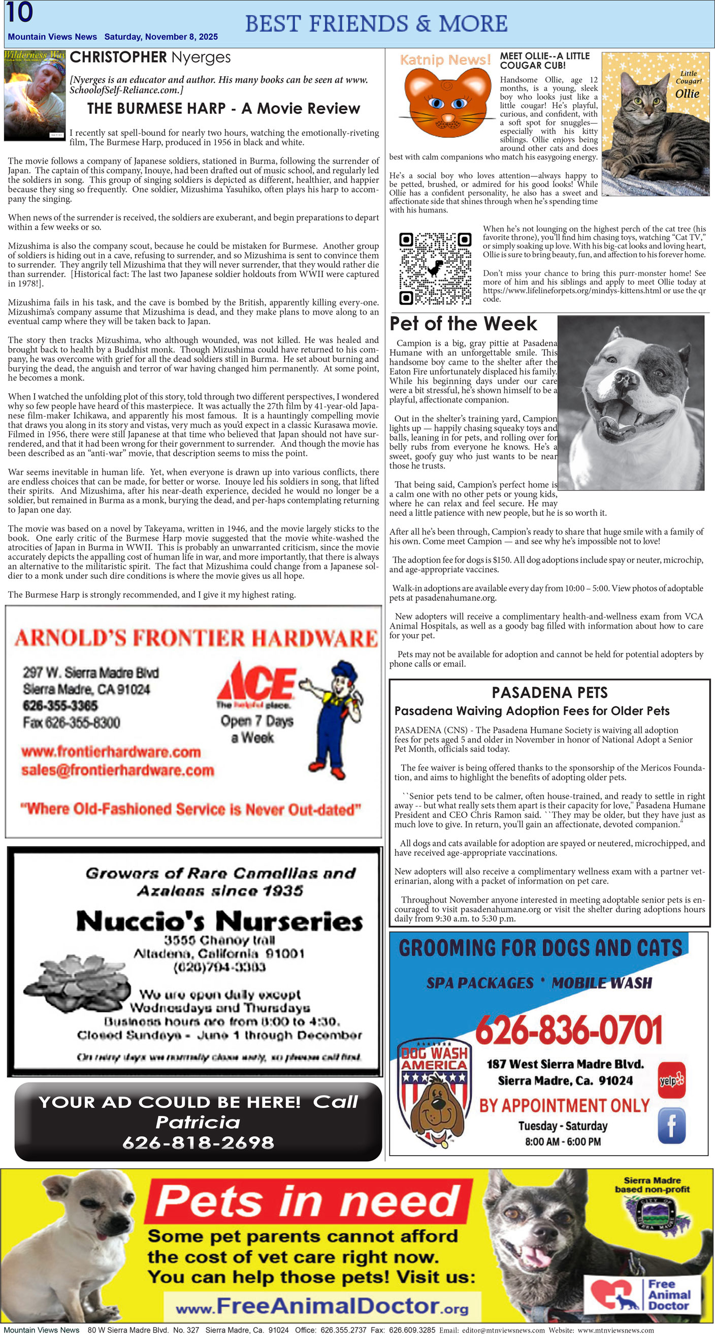 MVNews this week:  Page 10
