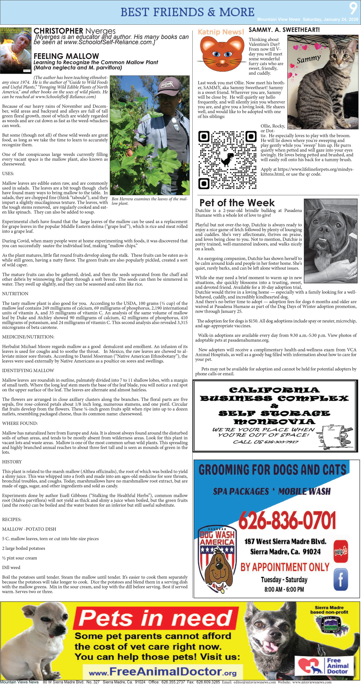 MVNews this week:  Page 9